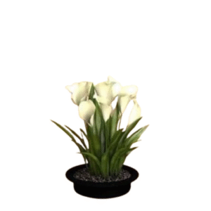 3D Smart Sticker ( Set of 4 )